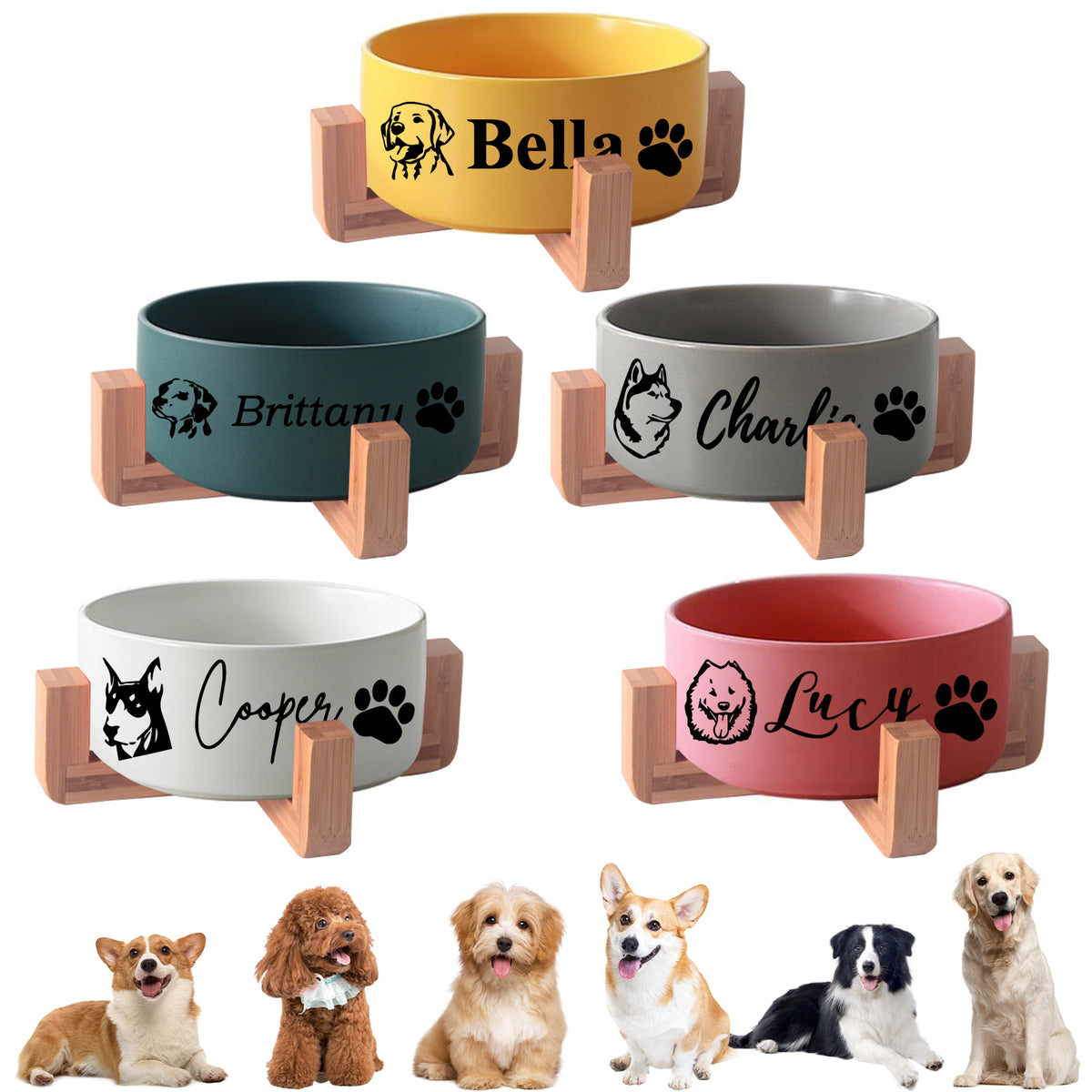 Comedero personalizado para perros con nombre