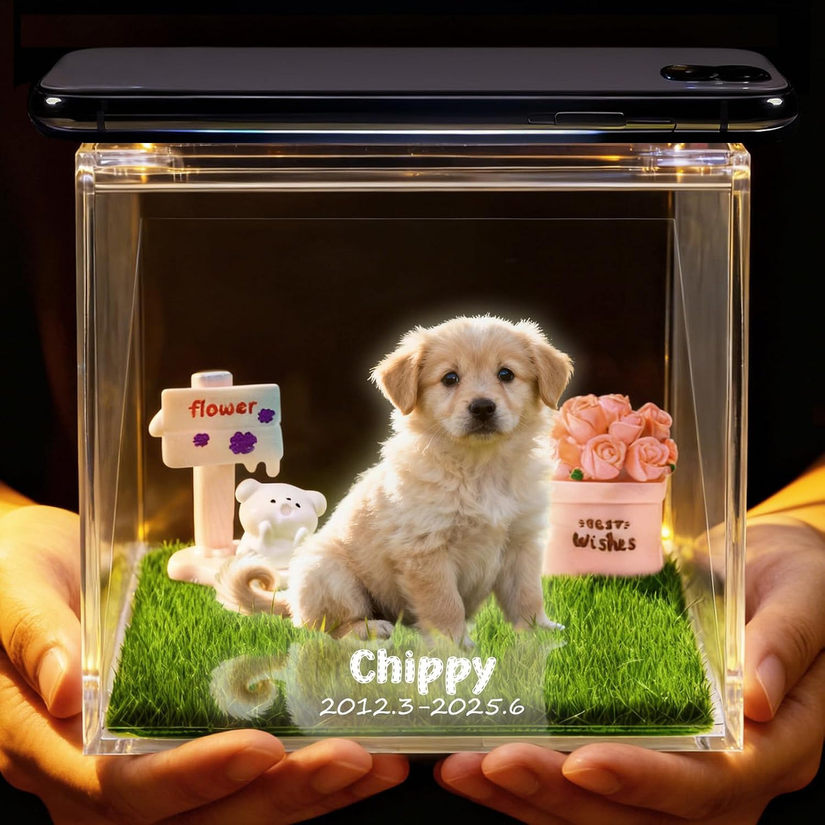 Personalized 3D HolographicPet Memorial Box CustomDog Memorial GiftsCustomized Pet HologramDog House with Name High-Transmittance Display forPet Lovers DesktopOrnaments