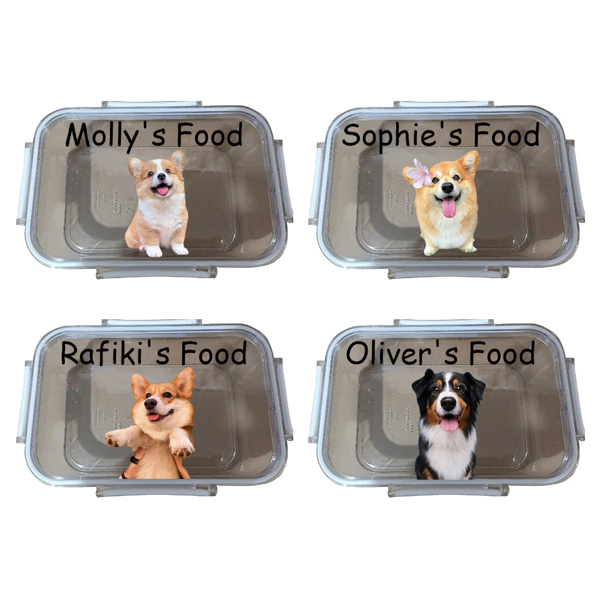Recipiente personalizado para comida de perro que la mantiene fresca