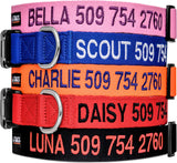 Personalized Dog Collar Custom Embroidered with Pet Name and Number