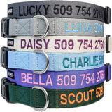 Personalized Dog Collar Custom Embroidered with Pet Name and Number