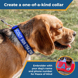 Personalized Dog Collar Custom Embroidered with Pet Name and Number