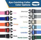 Personalized Dog Collar Custom Embroidered with Pet Name and Number