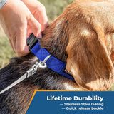 Personalized Dog Collar Custom Embroidered with Pet Name and Number