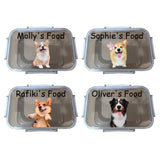 Recipiente personalizado para comida de perro que la mantiene fresca