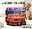 Personalized Dog Collar Custom Embroidered with Pet Name and Number