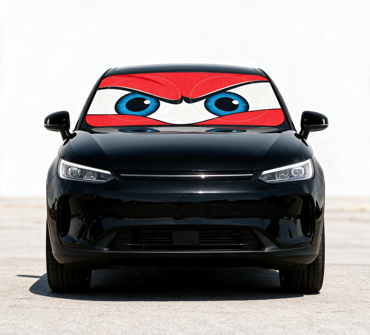 Custom Car Windshield Sun Shade