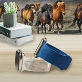 Correas personalizadas de iWatch para amantes de los caballos