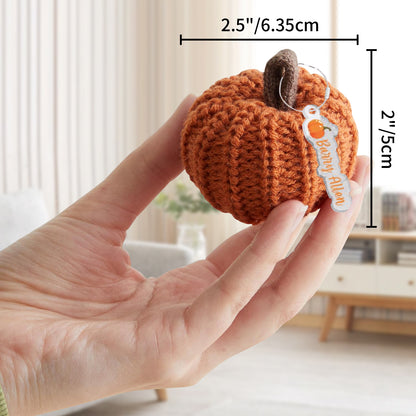 Personalized Mini Crochet Pumpkins Set of 5