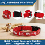 Personalized Dog Collars with Name and Phone Number Reflective Nylon Collar Custom Embroidered Safety Collar with Quick Release Buckle & D-Ring Adjustable Sizes for Small Dogs Medium Large