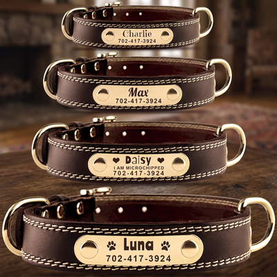 Personalized Dog Collar - Custom Leather Dog Collar with Engravable Nameplate - Durable Name Tag Collar - Customizable Dog Collar - Comfortable ID Collars for Small Medium Large Dogs